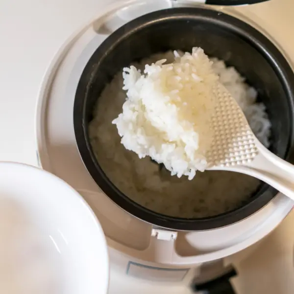 Can I Carry Rice Cooker in Cabin Baggage? What We Love To Do