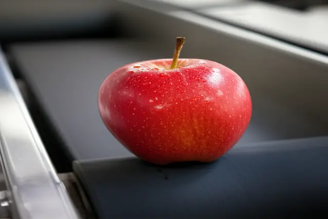 can you bring fruit on a plane